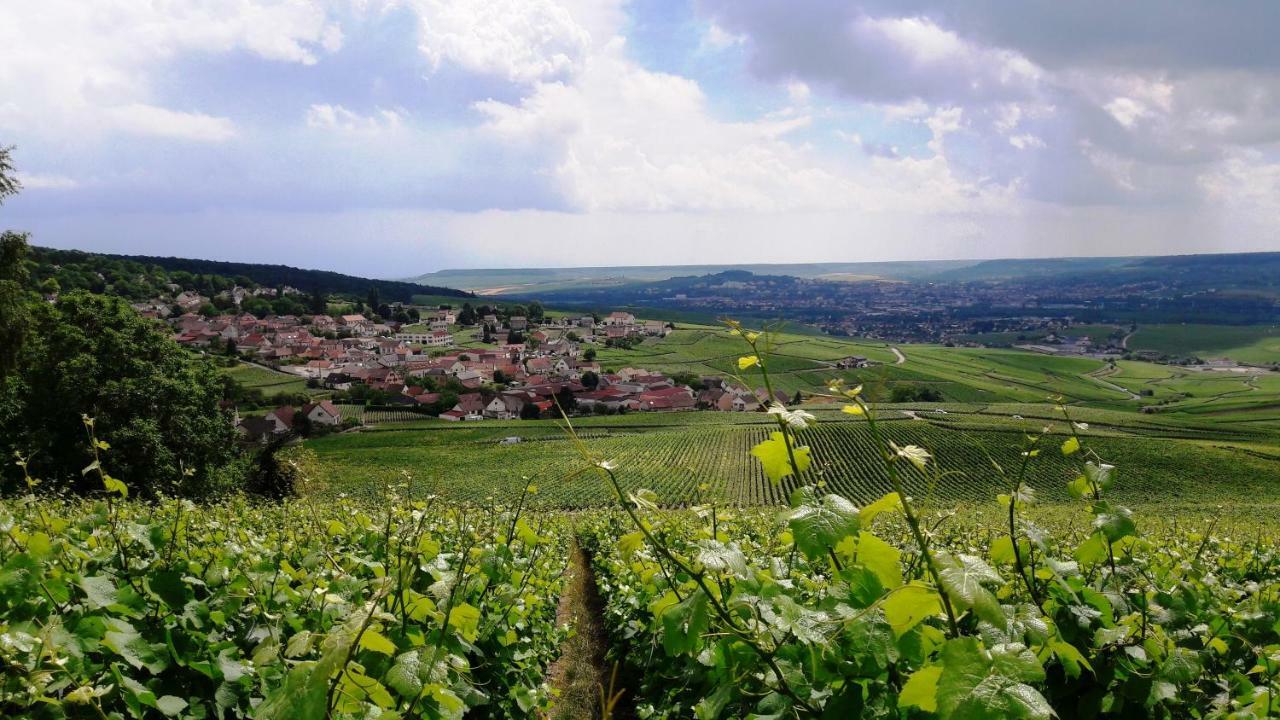 Le Logis Du Vendangeur Βίλα Champillon Εξωτερικό φωτογραφία