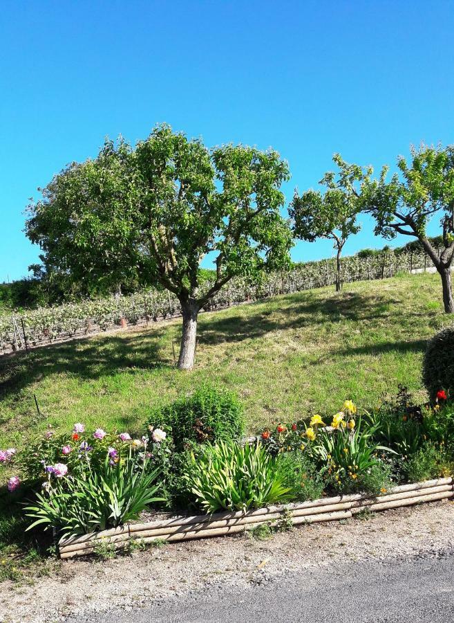 Le Logis Du Vendangeur Βίλα Champillon Εξωτερικό φωτογραφία