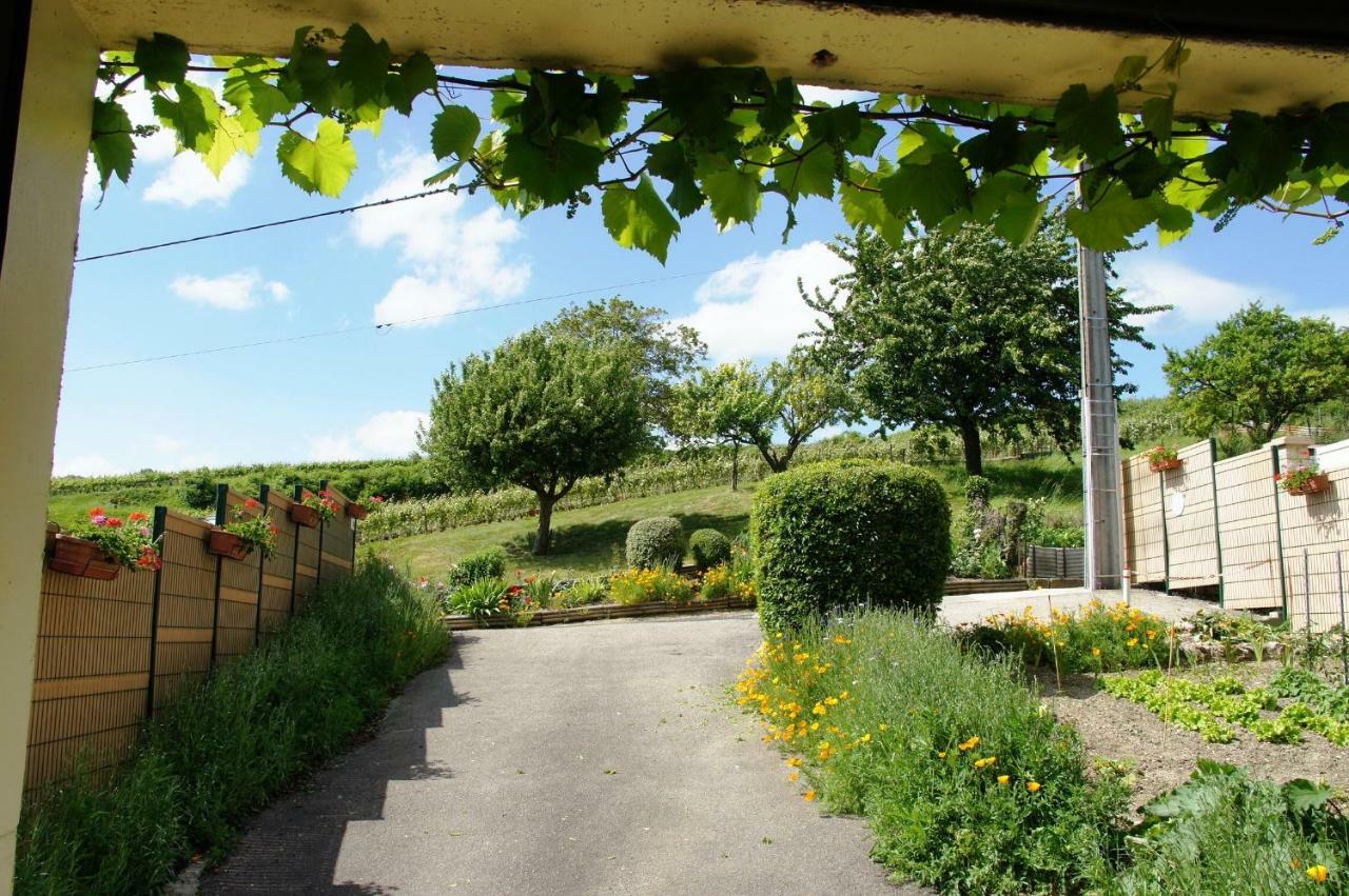 Le Logis Du Vendangeur Βίλα Champillon Εξωτερικό φωτογραφία